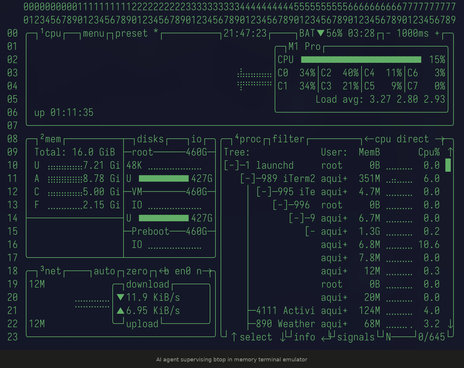 The Terminal Is Not a Display